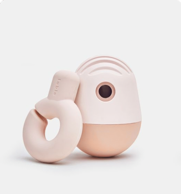 Interactive Toys