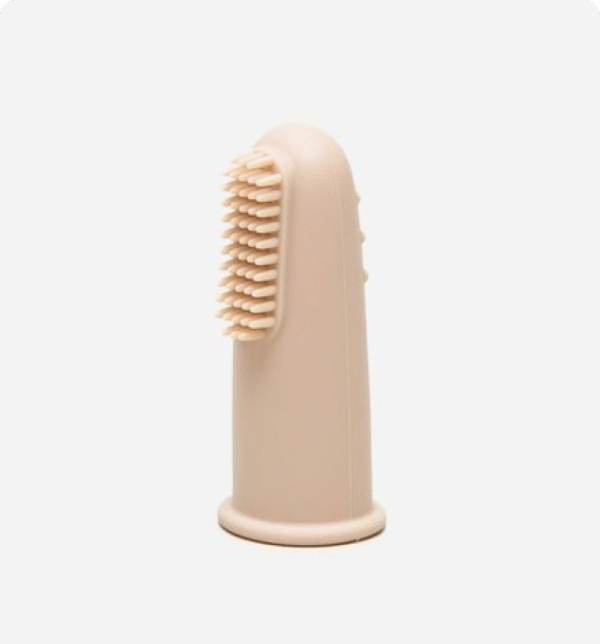 Dental Care Products