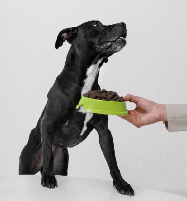 Pet Brush Plate