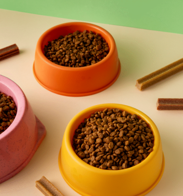 Pet-accessories